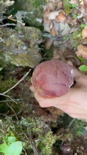 📷Luca Fogato. | Cavatori Seriali