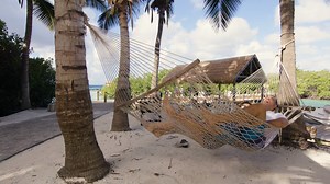 3.4K views · 169 reactions | Pristine white sand beaches, crystal clear waters, perpetually sunny skies and warm, friendly locals. Come join us in paradise and find Your Happy Place in Aruba, One happy island. #YourHappyPlace | Aruba | Facebook