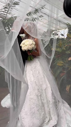 Tegan & Mitch's Wedding Day Highlights