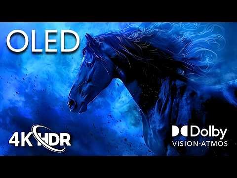 OLED Display Test – 4K HDR Dolby Vision in Breathtaking 60FPS