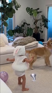 The Easter Bunny Surprised our Daughter and Dogs! #GoldenRetriever #Family #Easter | Lady and the Blues