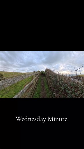 Port Grenaugh #chilly #dogtok #homegain