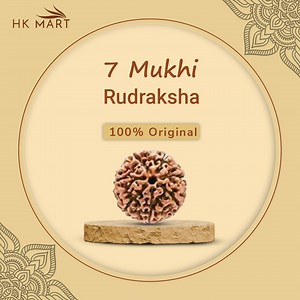 Buy 7 Mukhi Rudraksha | 7 Mukhi Rudraksha Price & Benefits