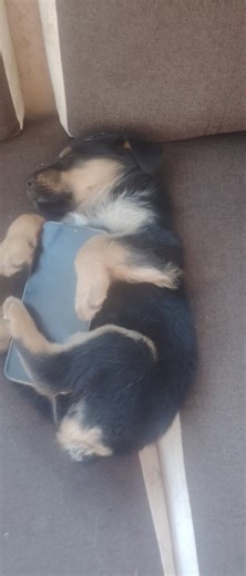 #baile #parati #fyp #viral #