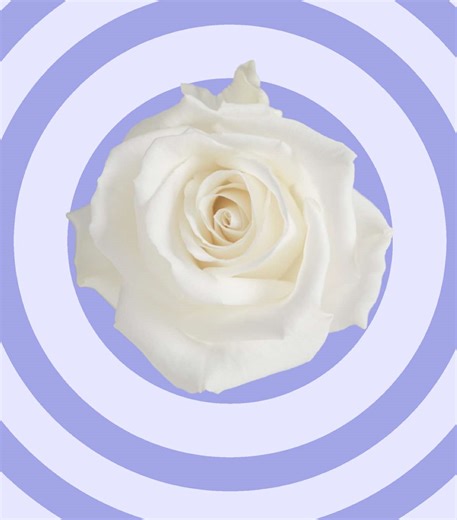 Navigating Creative Doubts: Thoughts on Script Writing