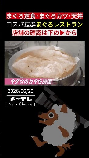 [Must-Watch] Incredible Value at This "Tuna Restaurant": A Tuna Extravaganza of Set Meals, Cutlet...