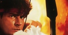 Hot Shots 2 (1993)  - Ver Película Completa en Español / Castellano - FULLTV