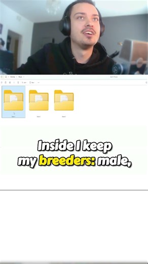 9 Base Stat Cats in Mutated Save Files