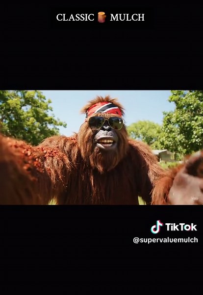 MULTIPURPOSE WOOD MULCH. 3 BAGS FOR $100 AT CM Central Lumber Ltd. LONDONVILLE 671-4737 KEEP YOUR PLANTS 🪴 HEALTHY WITH WOOD 🪵 (868) 274-2161 $35 TO $45 PER BAG(45LBS) AT MOST RETAILERS COMMENT/📱WHATSAPP OR 📞 CALL US TODAY TO FIND A RETAILER NEAR YOU (868) 274-2161 *WHOLESALE AND RETAIL WOOD MULCH* KEEP PLANTS 🪴 HYDRATED LONGER✅ SUPPRESS WEEDS 🌱 NATURALLY✅ PROVIDES NUTRIENTS TO SOIL✅ COVER AND PREVENT MUDDY AREAS 🌧✅ REDUCES HEAT DAMAGE✅ RETAINS MOISTURE IN SOIL✅ DISPOSE OF ANIMAL LITTER �