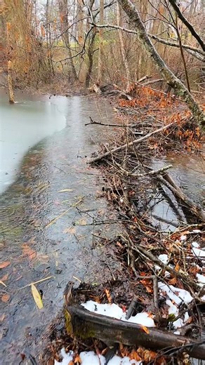 Terrell Spivey on Instagram: "Beavers Are Probably Frozen Behind This Beaver Dam! 😅 #beaverdam #terrellspivey #viral #fyp #instagram"