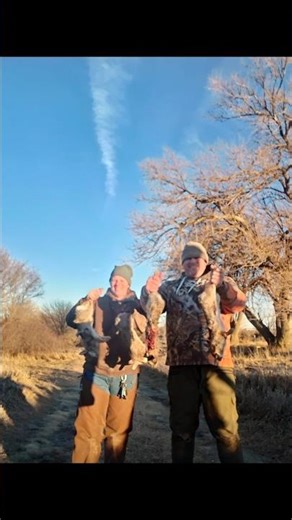 Nebraska rabbit hunting! #falconry #hunting #harrishawk