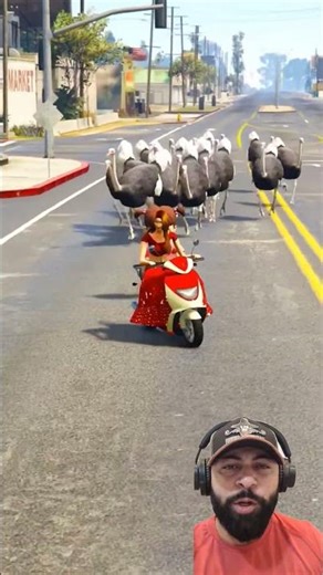 The ostriches wanted to catch Julinha #shorts #gta