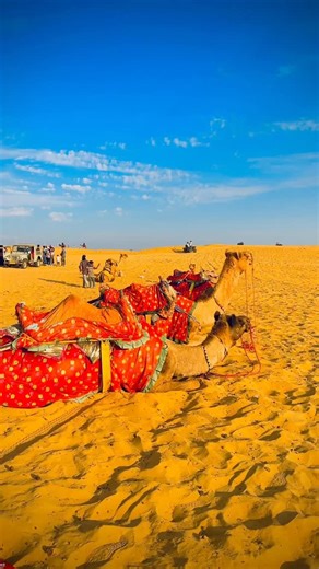 Vaisakh on Instagram: "ജയ്‌സാൽമീറിൽ നിങ്ങൾ തീർച്ചയായും കണ്ടിരിക്കേണ്ട സ്ഥലങ്ങൾ! 📍 Jaisalmer Fort (Sonar Quila): The only “living fort” in India! Get lost in the narrow lanes, find the hidden rooftop cafes, and watch the sandstone turn gold at sunset. 📍 Patwon Ki Haveli: The detail on these stone carvings is insane. It’s the most intricate architecture in the city. 📍 Sam Sand Dunes: You can’t leave without a Jeep safari or a camel trek. Stay overnight in a desert camp for the best stargazing o