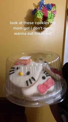 there’s a unicorn one too and my back camrea is broke :|