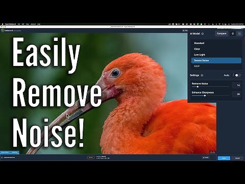 Beginner Video - Getting Started Using Denoise AI
