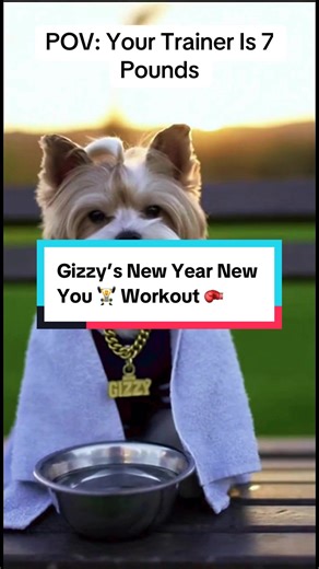 POV: Your Trainer Is 7 Pounds #Dogs #dogsoftiktok
