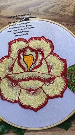 Bordando Sueños on TikTok