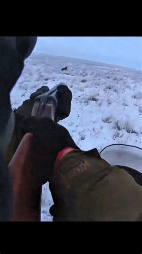 ❄️🦊 Охота на лису по снегу на мотоцикле | Адреналин и точный выстрел#challenge#chase#hunting#fox#