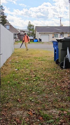 Leaf Cleanup With Battery Blower 🍁 #satisfying #fyp #toropartner | Fill's Lawn Care