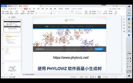 干货来啦~应用PHYLOViZ 软件画最小生成树