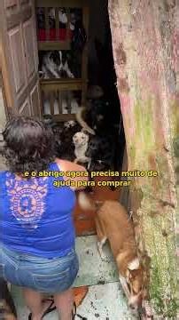 Every bit of help turns into care 🐾❤️ #voaurea