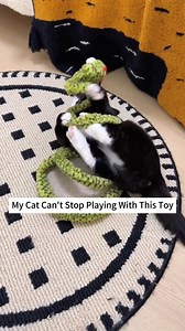 This Toy Turned My Cat Into a Nonstop Play Machine! 😹 #chats #Katzen #gatti #gatos #katten #γάτες #koty #cats #catlovers #kitty | Pawpycupcat