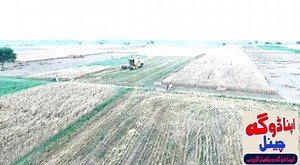 1.4K views · 85 reactions | پردیس والو سن کے وی انج نہی ! | Apna Doga Channel | Facebook