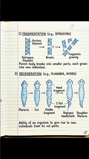 🌱 Class 10 Reproduction Chapter Explained in Minute 🔥