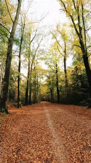 Relaksacyjna Muzyka Bez Słów - Spokój i Harmonia