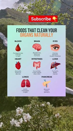 FOODS THAT CLEAN YOUR ORGANS NATURALLY #healthylifestyle #healthyeating