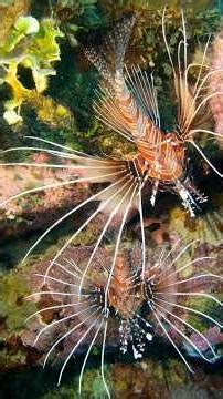 The 10 Best Islands in the World for Nature and Scenic Beauty