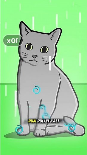 Jika Kucing Bisa Bergerak Lebih Cepat dari Peluru #viralvideo#shortvideo