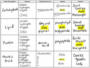 Carbon Based Molecules