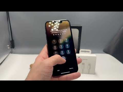 iPhone 13 Pro 256GB Graphite 100%