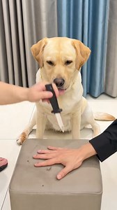 56K views · 306 reactions | Upset | Funny Now | Facebook