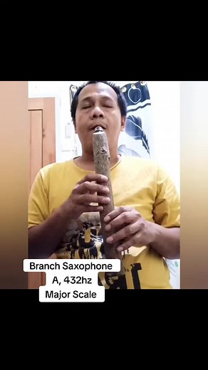 Amazing Grace Saxo Branch A 432hz 7 holes Major Scale #juang #juangflutes #sax #saxo #saxophone #branchsaxophone #diy #diysaxphone #forest #forestflute #forestflutes #naf #nativeamerican #nativeamericanflutes #nativeamericanflute #flute #fluteplayer #flutemusic #branchflute #branch #shaman #shamanic #healling #soundhealling #heallinginstrument #soundbath #yoga #meditation #meditasi