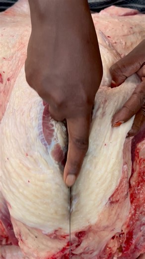 3.6K views · 19 reactions | Delicious Brisket fat processing skills. | Beef Market | Facebook