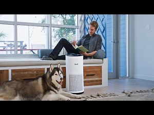 Levoit LV-H133 True HEPA Air Purifier