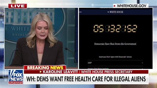 3.8M views · 115K reactions | KAROLINE LEAVITT: "Democrats in 2025 are for illegal aliens first and Americans last." | Fox News | Facebook