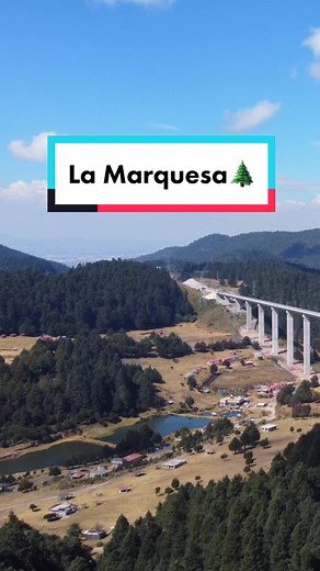 Webcams de México on TikTok