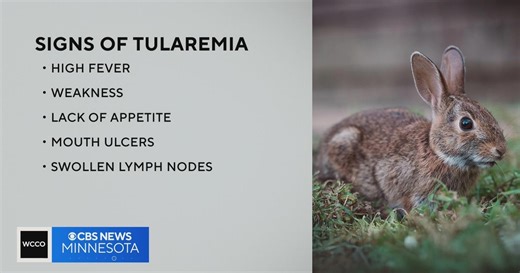 MDH warns of rise in tularemia cases