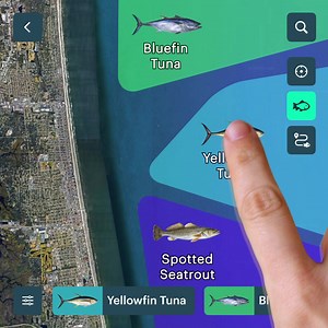 540 reactions · 95 comments | Windy.app on Reels | Facebook