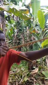 utilisez mon code promo 1.xbet vipere12 pour gagner 200% de bonus | Vipère comedie