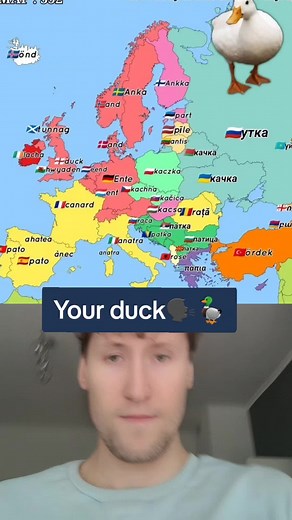 Understanding Duck Communication Across Languages