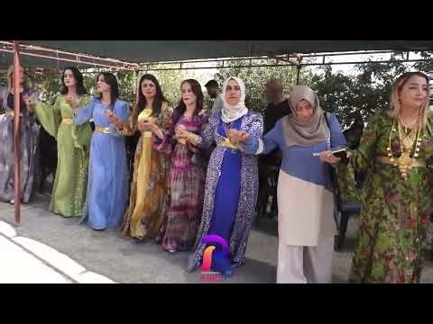 Govenda Segavi [HAKKARİ DÜĞÜNLERİ] [ #2025 ]#hakkaridüğünleri#2026