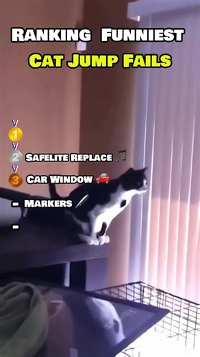 Ranking FUNNIEST Cat Jumping Fails!! 🐈😹 #catvideos #funny #cat #comedy #funnycatvideos #catfails