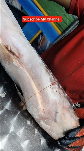 Australia How To Make Fish Cutting Skills#shorts #viralvideos #fishing