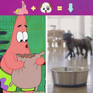 🗣SOUND ON. Have you ever wondered if your DOG sounds like Patrick? | SpongeBob SquarePants