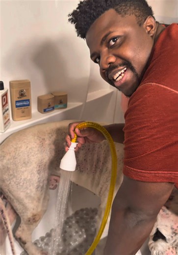 Effortless Dog Washing with No-Install Rinse Pipe