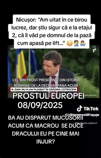 Videoclipuri postate de Aleks Vasily (@aleks.vasily) cu suono originale - user46768936133